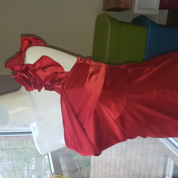 NWT Radiant Red Dress! - Picture 3 of 10